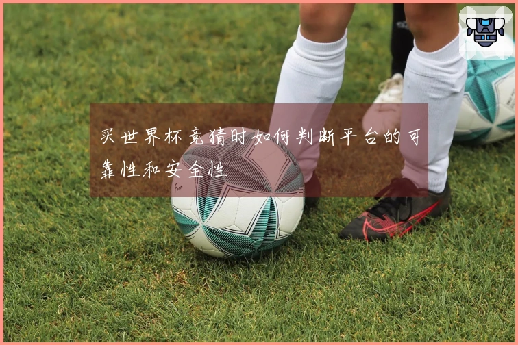 买世界杯竞猜时如何判断平台的可靠性和安全性