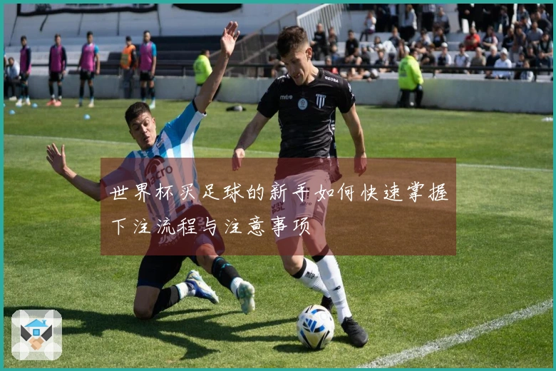 世界杯买足球的新手如何快速掌握下注流程与注意事项