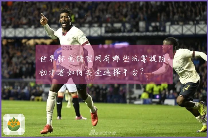 世界杯竞猜官网有哪些坑需提防，初学者如何安全选择平台？