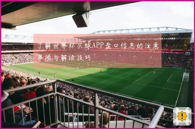 了解世界杯买球APP盘口信息的注意事项与解读技巧