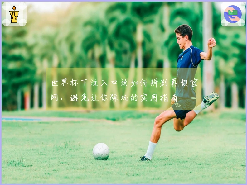 世界杯下注入口该如何辨别真假官网，避免让你踩坑的实用指南