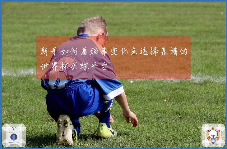 新手如何看赔率变化来选择靠谱的世界杯买球平台
