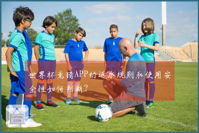 世界杯竞猜APP的返水规则和使用安全性如何判断？