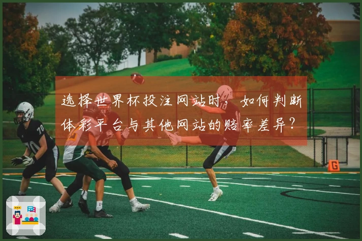 选择世界杯投注网站时，如何判断体彩平台与其他网站的赔率差异？