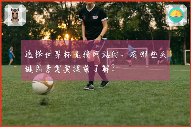 选择世界杯竞猜网站时，有哪些关键因素需要提前了解？
