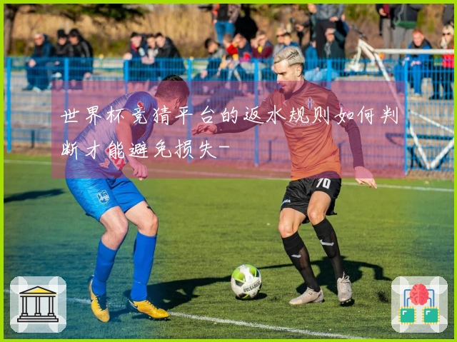 世界杯竞猜平台的返水规则如何判断才能避免损失-