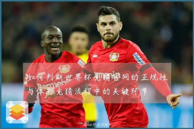 如何判断世界杯竞猜官网的正规性与体彩竞猜流程中的关键环节