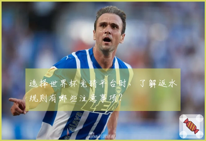 选择世界杯竞猜平台时，了解返水规则有哪些注意事项？