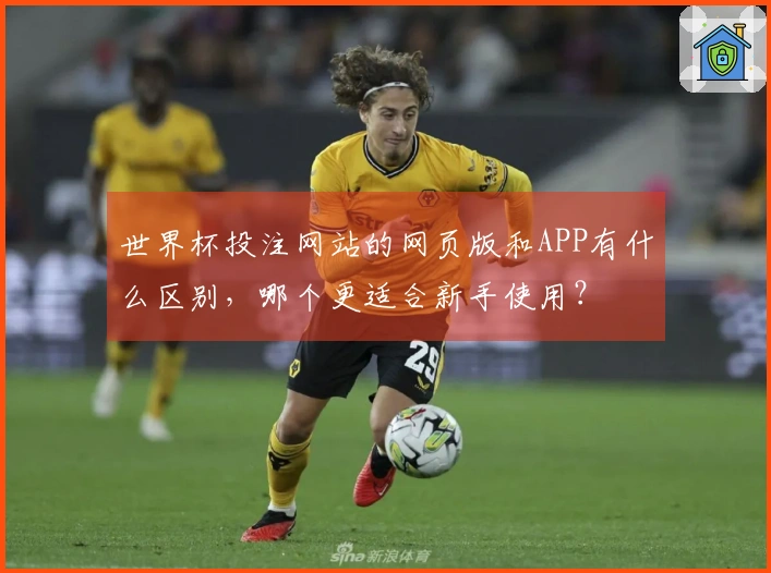 世界杯投注网站的网页版和APP有什么区别，哪个更适合新手使用？