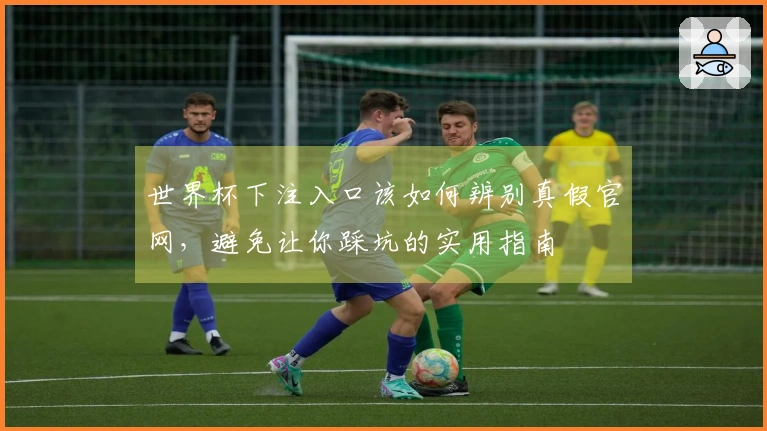 世界杯下注入口该如何辨别真假官网，避免让你踩坑的实用指南