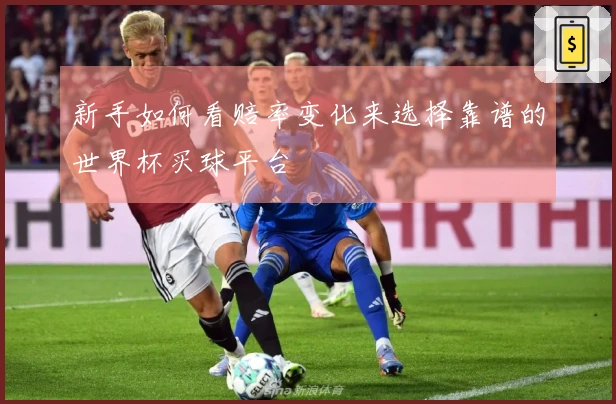 新手如何看赔率变化来选择靠谱的世界杯买球平台