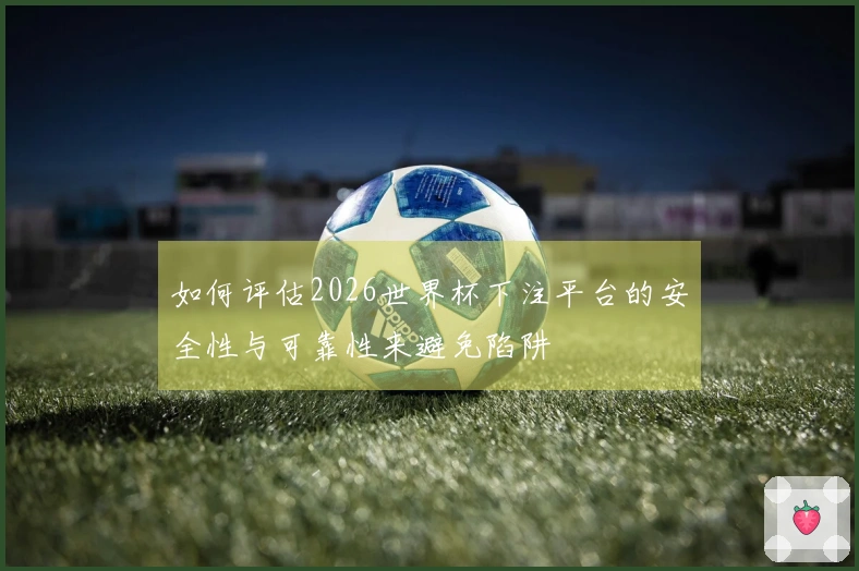 如何评估2026世界杯下注平台的安全性与可靠性来避免陷阱