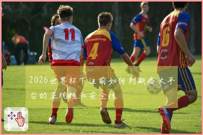 2026世界杯下注前如何判断各大平台的正规性和安全性