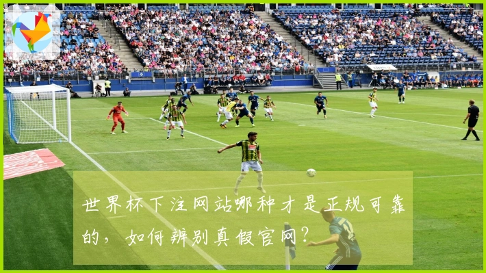 世界杯下注网站哪种才是正规可靠的，如何辨别真假官网？