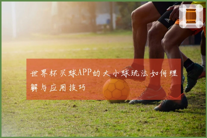 世界杯买球APP的大小球玩法如何理解与应用技巧
