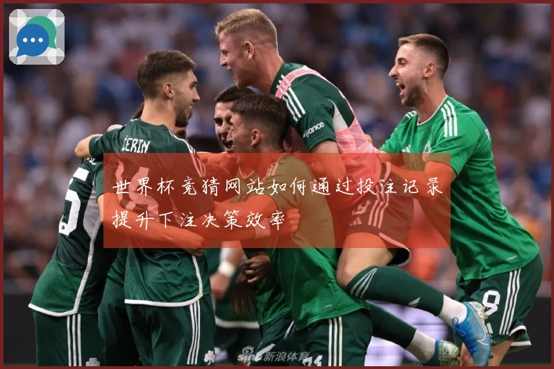 世界杯竞猜网站如何通过投注记录提升下注决策效率