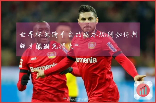世界杯竞猜平台的返水规则如何判断才能避免损失-