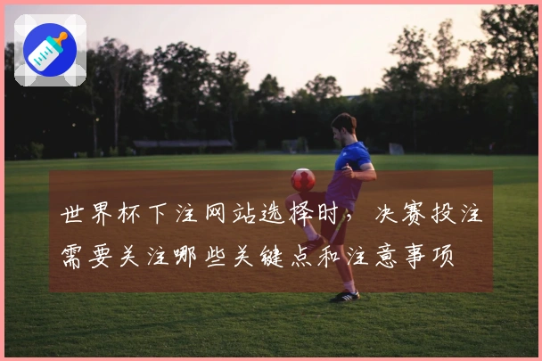世界杯下注网站选择时，决赛投注需要关注哪些关键点和注意事项
