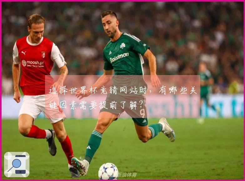 选择世界杯竞猜网站时，有哪些关键因素需要提前了解？