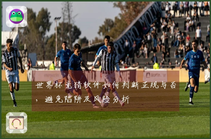 世界杯竞猜软件如何判断正规与否,避免陷阱及风险分析