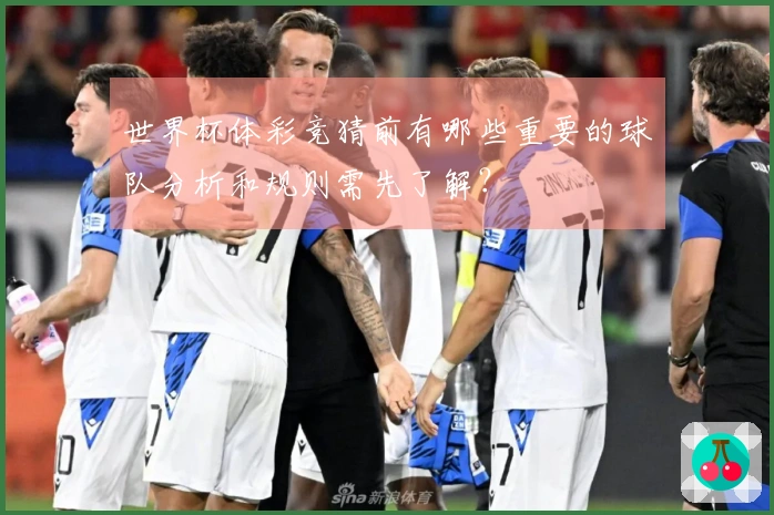 世界杯体彩竞猜前有哪些重要的球队分析和规则需先了解？