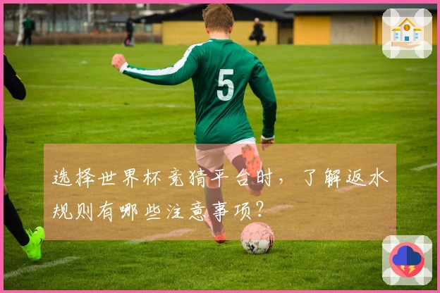 选择世界杯竞猜平台时,了解返水规则有哪些注意事项?