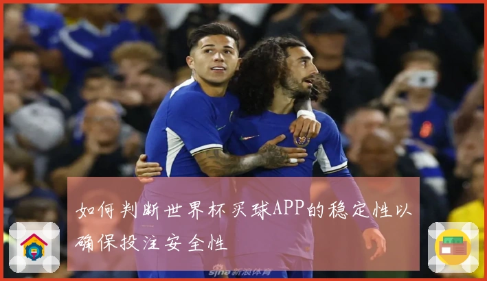 如何判断世界杯买球APP的稳定性以确保投注安全性